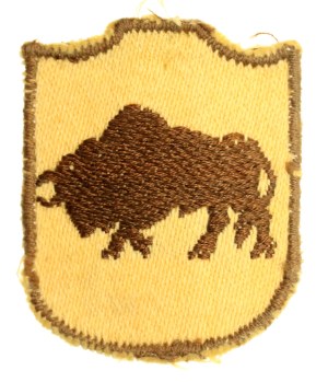 PSZnZ, 5th Border Infantry Division patch (851)