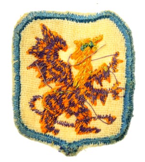 PSZnZ, Patch, 7th Infantry Division (855)