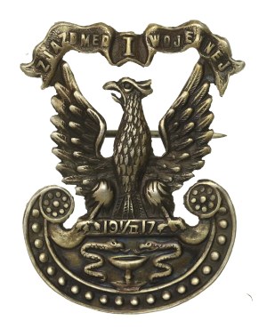 Eagle I Congress of War Medicine 1 / II 1917 (876)