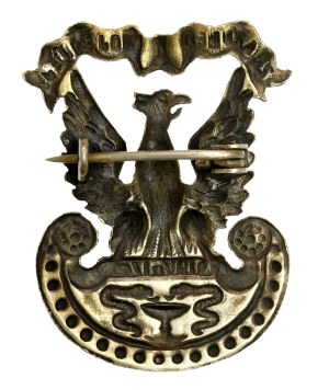 Eagle I Congress of War Medicine 1 / II 1917 (876)