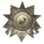 Russia, USSR, Star for the Patriotic War, 2nd class. Award of 1944 (982)