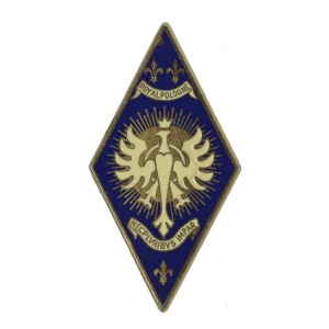 Odznaka, 5 Regiment Kirasjerów Royal Pologne (362)