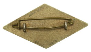 Badge, 5th Royal Pologne Cuirassier Regiment (362)