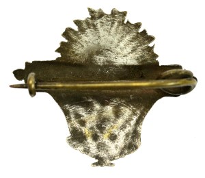 Patriotic badge, anniversary of the May 3 Constitution, 1791 - 1916, Wisniewski (364)