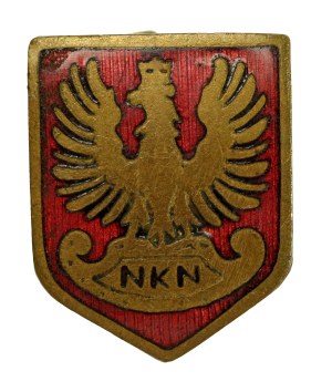 Patriotic badge of the Supreme National Committee, 1915 (366)