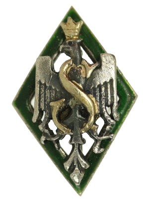 II RP, miniature, badge of the 5th Siberian Division of Polish Riflemen (373)