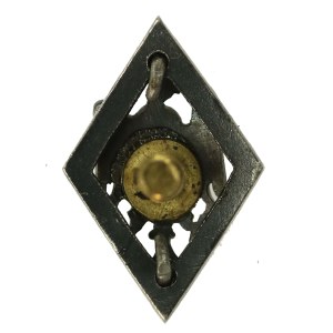 II RP, miniatura, odznaka 5 Syberyjska Dywizja Strzelców Polskich (373)