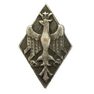 II RP, miniatura, odznaka pamiątkowa Armii Generała Hallera (382)