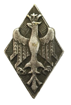 Second Republic, miniature, commemorative badge of General Haller's Army (382)