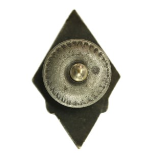 II RP, miniatura, odznaka pamiątkowa Armii Generała Hallera (382)