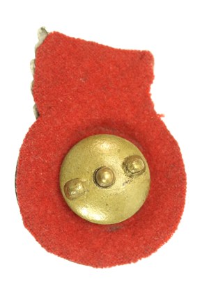 PSZnZ, Model Driver Badge (394)