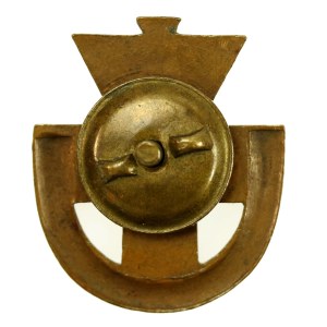 II RP, Odznaka POS (437)