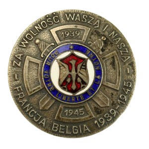 PSZnZ, Odznaka 19 i 29 Zgrupowanie Piechoty Polskiej przy Armii Francuskiej (438)