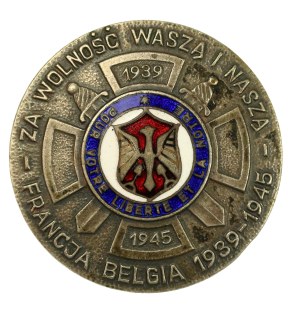 PSZnZ, Badge of the 19th and 29th Polish Infantry Groups attached to the French Army (438)