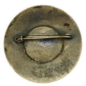 PSZnZ, Badge of the 19th and 29th Polish Infantry Groups attached to the French Army (438)