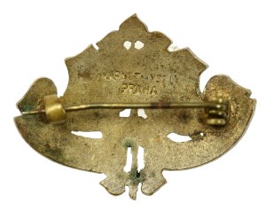 Badge of the Czech-Polish Club in Prague. Rare (444)