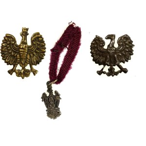 II RP, miniatura, odznaka 240 Ochotniczego Pułku Piechoty z orłami wz. 1927 (193)
