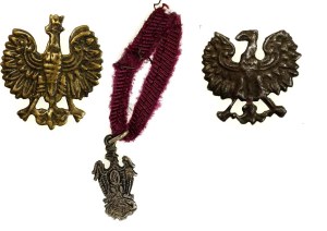 II RP, miniature, badge of 240th Volunteer Infantry Regiment with eagles pattern 1927 (193)