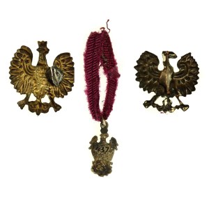 II RP, miniatura, odznaka 240 Ochotniczego Pułku Piechoty z orłami wz. 1927 (193)