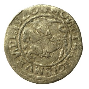 Zygmunt I Stary, półgrosz 1520, Wilno, SIGISMVANDI - odwrócone N (552)