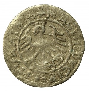 Sigismund I the Old, half-penny 1520, Vilnius, SIGISMVANDI - reversed N (552)