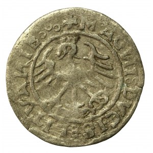 Zygmunt I Stary, półgrosz 1520, Wilno, SIGISMVANDI - odwrócone N (552)