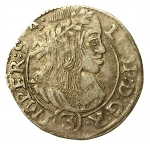 Austria, Leopold, 3 crores 1664, Kutna Hora (583)