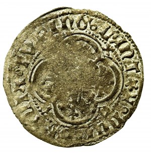 Germany, Meissen, March, Frederick II the Gentle and Wilhelm III, Freiberg Meissen penny. Condition 3+. A well-preserved coin with a colorful patina (584)