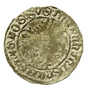 Germany, Meissen, March, Frederick II the Gentle and Wilhelm III, Freiberg Meissen penny. Condition 3+. A well-preserved coin with a colorful patina (584)