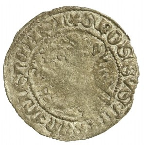 Germany, Meissen, March, Frederick II the Gentle and Wilhelm III, Freiberg Meissen penny. Condition 3+. A well-preserved coin with a colorful patina (556)