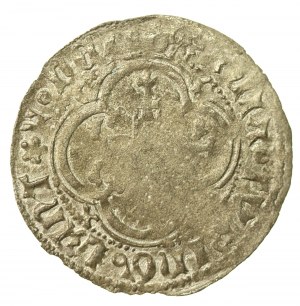 Germany, Meissen, March, Frederick II the Gentle and Wilhelm III, Freiberg Meissen penny. Condition 3+. A well-preserved coin with a colorful patina (556)