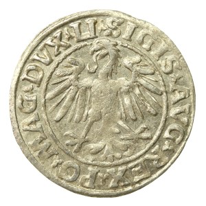 Zygmunt II August, Półgrosz 1547, Wilno - LI/LITVA (563)