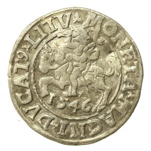 Zygmunt II August, Półgrosz 1546, Wilno - LI/LITV (565)