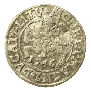 Sigismund II Augustus, Half-penny 1546, Vilnius - LI/LITV (565)