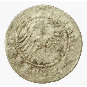 Zygmunt I Stary, Półgrosz Wilno - fałszerstwo z epoki (570)