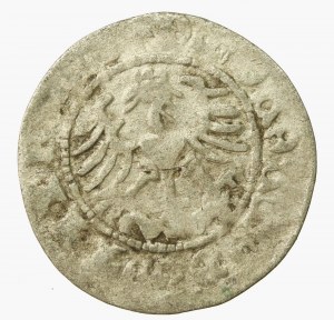 Sigismund I the Old, Vilnius half-penny - a period forgery (570)