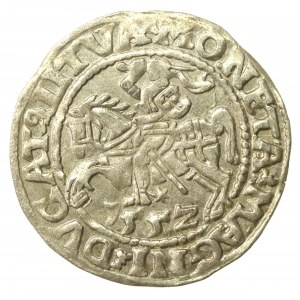 Zygmunt II August, Półgrosz 1552, Wilno, LI/LITVA (571)