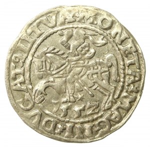 Sigismund II Augustus, Half-penny 1552, Vilnius, LI/LITVA (571)