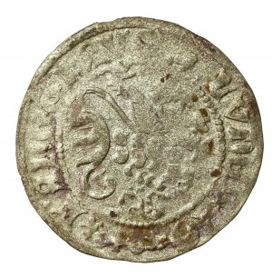 Germany, Meissen, March, Frederick II the Gentle and Wilhelm III, Freiberg Meissen penny. Condition 3+. Well-preserved coin with colorful patina (585).