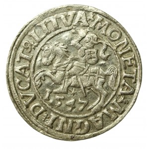 Sigismond II Auguste, demi-penny 1547, Vilnius - LI/LITVA (598)