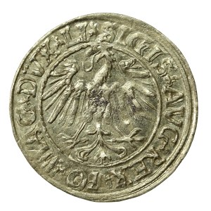 Sigismond II Auguste, demi-penny 1547, Vilnius - LI/LITVA (598)