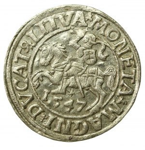 Sigismund II Augustus, Half-penny 1547, Vilnius - LI/LITVA (598)