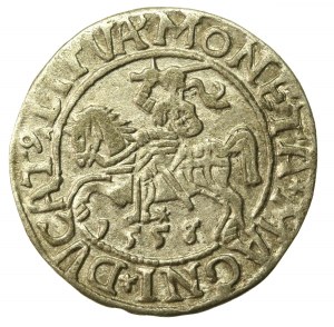 Sigismund II Augustus, Half-penny 1558/7, Vilnius - L/LITV, punctuation of last digit of date (633)