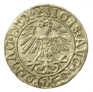 Sigismund II Augustus, Half-penny 1558/7, Vilnius - L/LITV, punctuation of last digit of date (633)