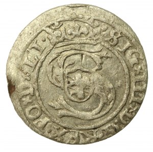 Sigismund III Vasa, Shelly 1598/9 - punctuation of date, Riga (634)