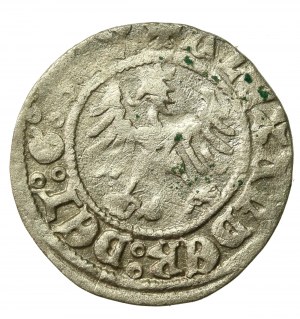 Alexander Jagiellon, crown half-penny, Cracow (640)