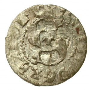 Zygmunt III Waza, szeląg 1605, Ryga (641)