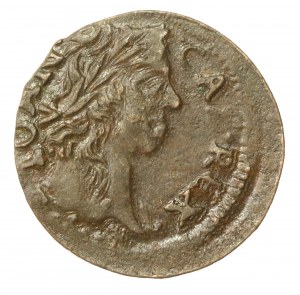 John II Casimir, Boratynka of Lithuania 1661, Ujazdów (649)