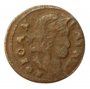 John II Casimir, Lithuanian boratine shekel 1663, Oliva (651)