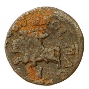 Jan II Kazimierz, szeląg litewski boratynka 1663, Oliwa (652)